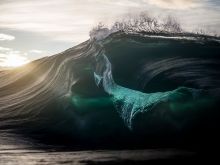 Ray Collins