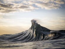 Ray Collins