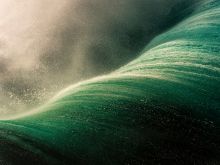 Ray Collins