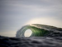 Ray Collins