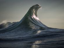 Ray Collins