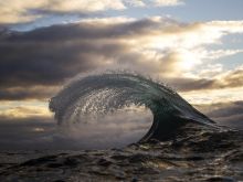 Ray Collins