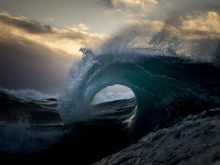 Ray Collins