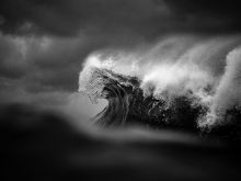 Ray Collins