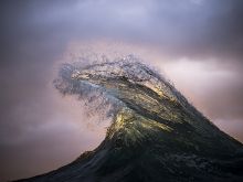 Ray Collins