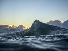 Ray Collins