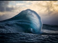 Ray Collins