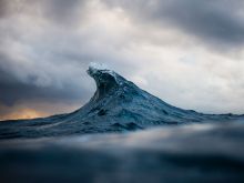 Ray Collins