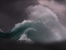 Ray Collins