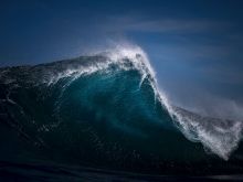 Ray Collins