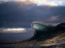 Ray Collins