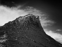 Ray Collins