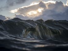 Ray Collins