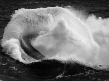 Ray Collins