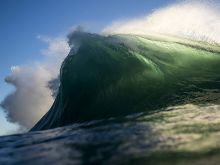 Ray Collins