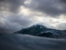 Ray Collins