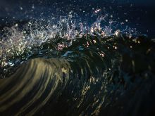 Ray Collins