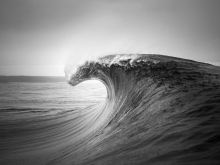 Ray Collins