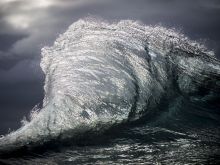 Ray Collins