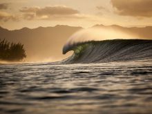 Ray Collins