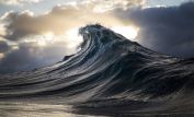 Ray Collins