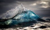 Ray Collins