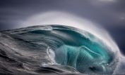 Ray Collins