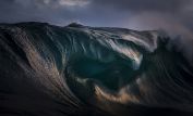 Ray Collins