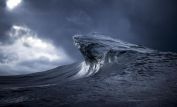 Ray Collins