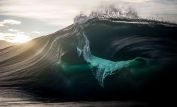 Ray Collins