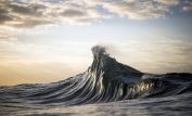 Ray Collins