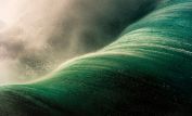 Ray Collins