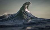 Ray Collins