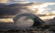 Ray Collins