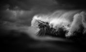 Ray Collins