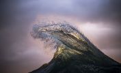 Ray Collins