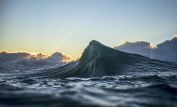 Ray Collins