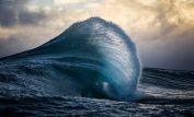 Ray Collins