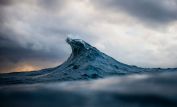 Ray Collins