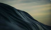 Ray Collins