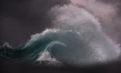 Ray Collins