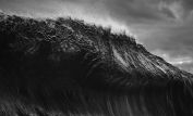 Ray Collins