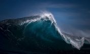 Ray Collins