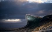 Ray Collins