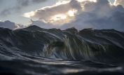 Ray Collins