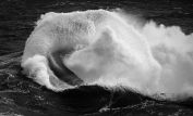 Ray Collins