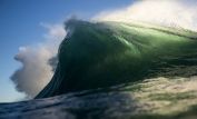 Ray Collins