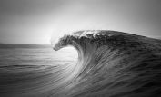 Ray Collins