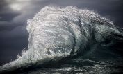 Ray Collins