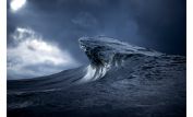 Ray Collins